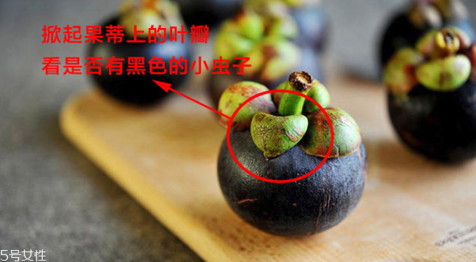 山竹怎么選才是新鮮的 又甜又水嫩的山竹這樣挑 山竹怎么選才是新鮮的 又甜又水嫩的山竹這樣挑