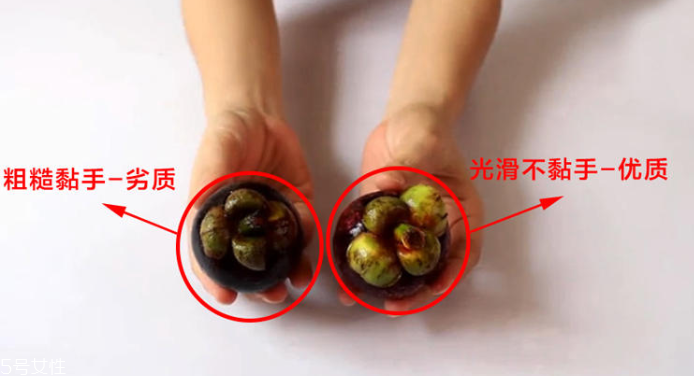 山竹怎么選才是新鮮的 又甜又水嫩的山竹這樣挑 山竹怎么選才是新鮮的 又甜又水嫩的山竹這樣挑