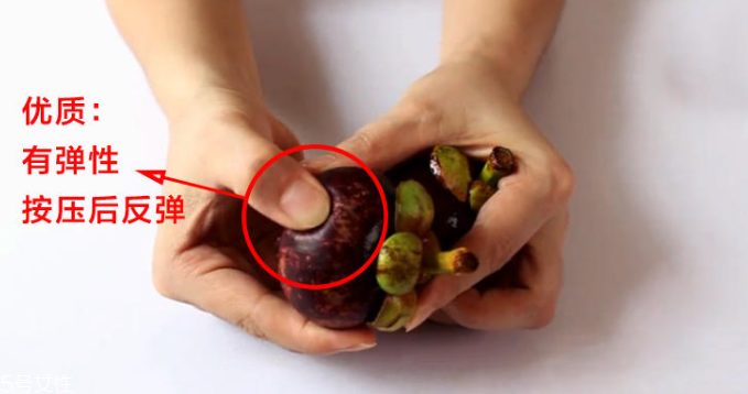 山竹怎么選才是新鮮的 又甜又水嫩的山竹這樣挑 山竹怎么選才是新鮮的 又甜又水嫩的山竹這樣挑