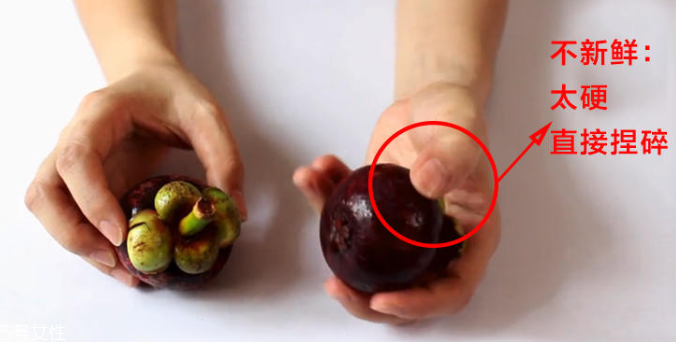 山竹怎么選才是新鮮的 又甜又水嫩的山竹這樣挑 山竹怎么選才是新鮮的 又甜又水嫩的山竹這樣挑