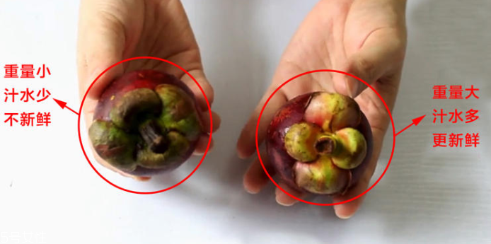 山竹怎么選才是新鮮的 又甜又水嫩的山竹這樣挑 山竹怎么選才是新鮮的 又甜又水嫩的山竹這樣挑
