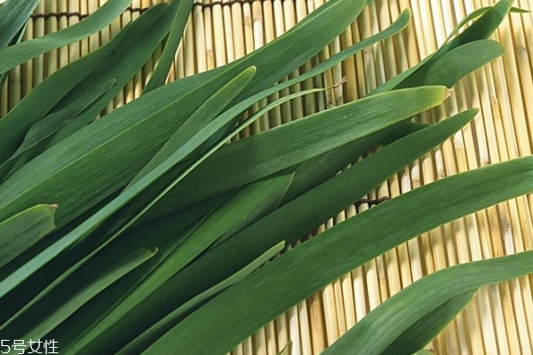 韭菜有什么營養(yǎng) 韭菜的營養(yǎng)成分很高 韭菜有什么營養(yǎng) 韭菜的營養(yǎng)成分很高