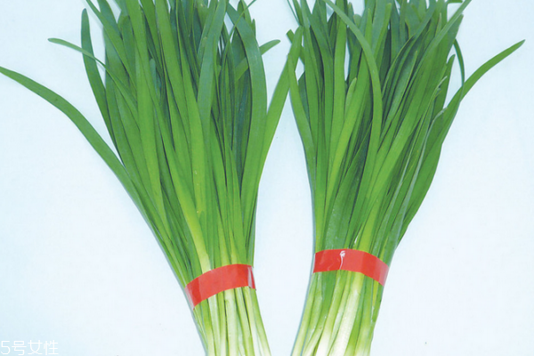 韭菜有什么營養(yǎng) 韭菜的營養(yǎng)成分很高 韭菜有什么營養(yǎng) 韭菜的營養(yǎng)成分很高