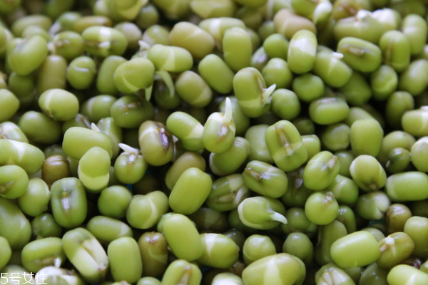 綠豆為什么會(huì)生蟲 這樣保存就沒蟲