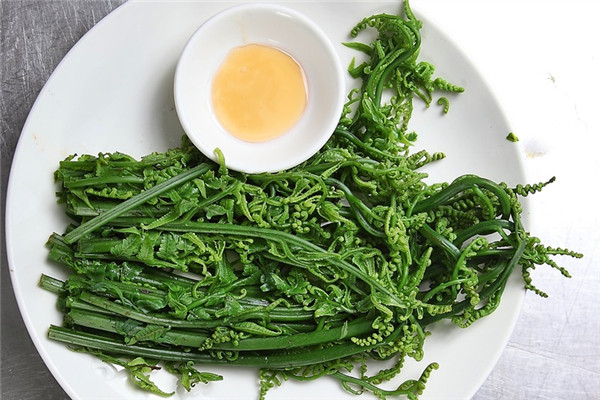 蕨菜的保存與挑選方法 蕨菜的保存與挑選方法