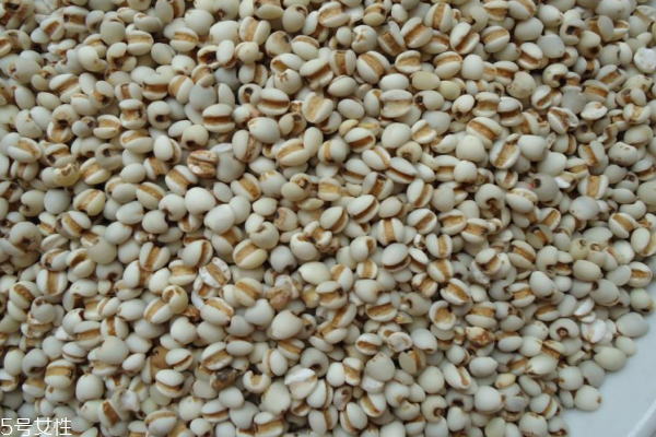 薏仁為什么孕婦不能吃 原來是這個(gè)原因