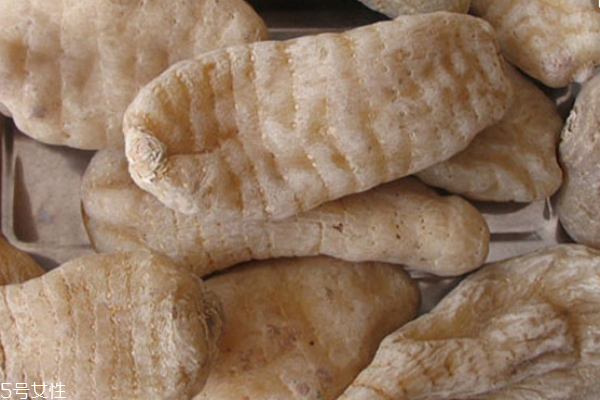 天麻怎么保存 最全天麻保存法 天麻怎么保存 最全天麻保存法