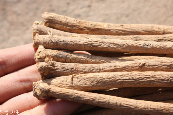 黃芪為什么會生蟲 這個是正?，F(xiàn)象