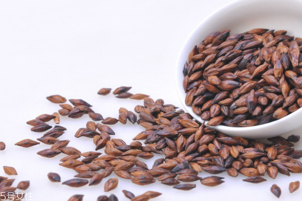 大麥茶是什么做的 大麥制成 大麥茶是什么做的 大麥制成