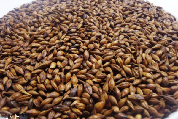 大麥茶是什么做的 大麥制成 大麥茶是什么做的 大麥制成