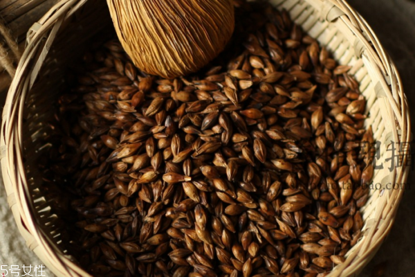 大麥茶是煮還是泡 二者皆可 大麥茶是煮還是泡 二者皆可