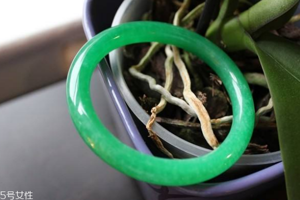 翡翠手鐲什么顏色最好 教你挑手鐲 翡翠手鐲什么顏色最好 教你挑手鐲