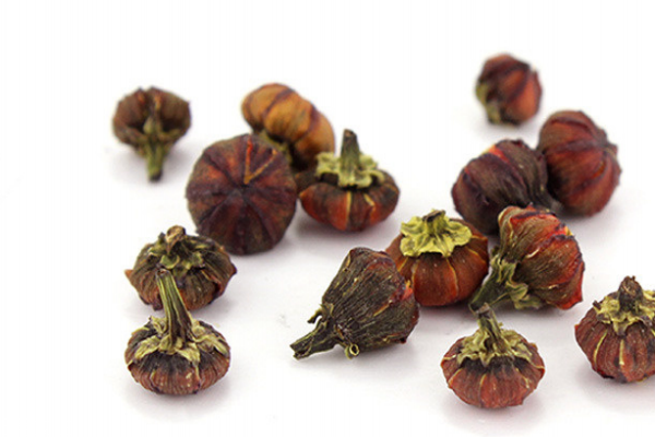 雪菊能不能天天喝 不要這樣喝 雪菊能不能天天喝 不要這樣喝