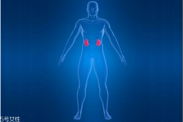 洗腎與透析詳解 洗腎與透析詳解