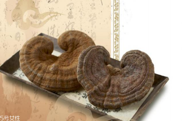 靈芝是補品嗎 滋補中藥 靈芝是補品嗎 滋補中藥