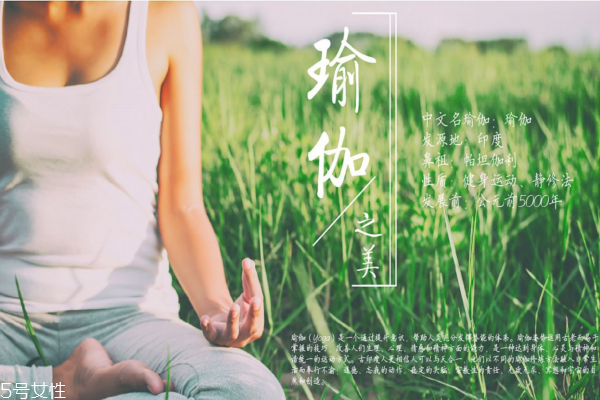 瑜伽適合什么人練 不是人人都適合 瑜伽適合什么人練 不是人人都適合