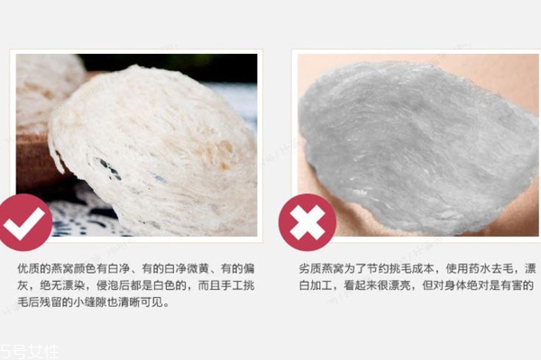 燕窩真假怎么分辨 注意3點再也不會上當 燕窩真假怎么分辨 注意3點再也不會上當