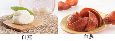 燕窩真假怎么分辨 注意3點再也不會上當 燕窩真假怎么分辨 注意3點再也不會上當