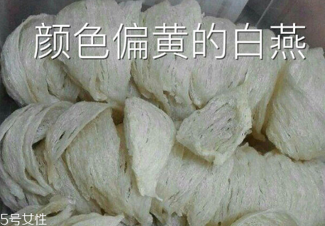 燕窩真假怎么分辨 注意3點再也不會上當 燕窩真假怎么分辨 注意3點再也不會上當