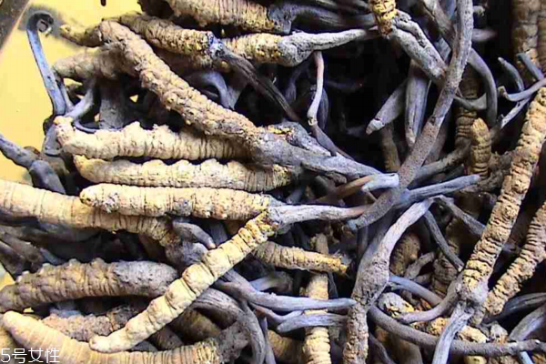 冬蟲夏草怎么煲湯 蟲草雞湯配方 冬蟲夏草怎么煲湯 蟲草雞湯配方