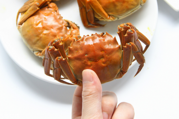 大閘蟹有哪些品種 常見的有五種 大閘蟹有哪些品種 常見的有五種