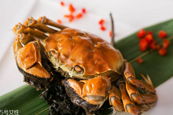 大閘蟹有哪些品種 常見的有五種 大閘蟹有哪些品種 常見的有五種