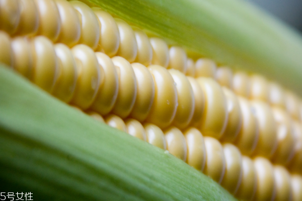 玉米容易消化嗎 吃多了消化不良 玉米容易消化嗎 吃多了消化不良