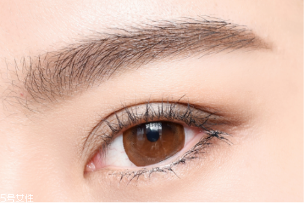 眉粉可以畫眼影嗎 用眉粉畫眼影的妝容教程 眉粉可以畫眼影嗎 用眉粉畫眼影的妝容教程