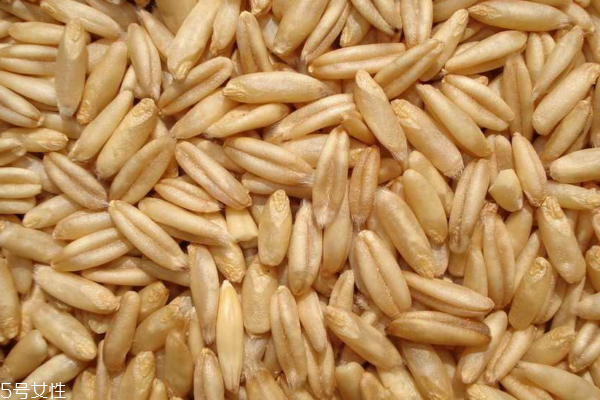 燕麥?zhǔn)谴旨Z嗎 屬于粗糧類 燕麥?zhǔn)谴旨Z嗎 屬于粗糧類