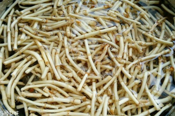 魚腥草是中藥嗎 古老中藥材 魚腥草是中藥嗎 古老中藥材