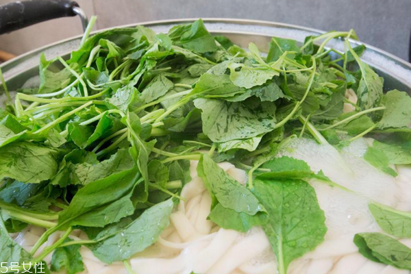 小白菜是發(fā)物嗎 不是發(fā)物類(lèi)別