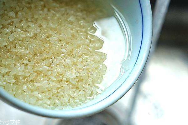 大米分為幾種 3大類挑出最愛款 大米分為幾種 3大類挑出最愛款