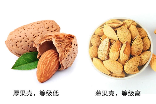 巴旦木等級怎么分 外殼越薄等級越高 巴旦木等級怎么分 外殼越薄等級越高