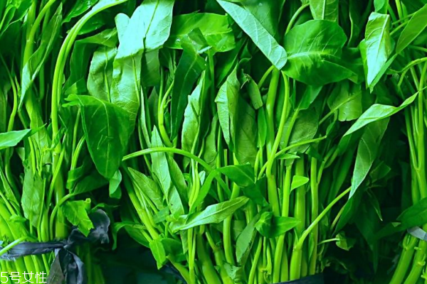 空心菜為什么會變黑 2個原因 空心菜為什么會變黑 2個原因