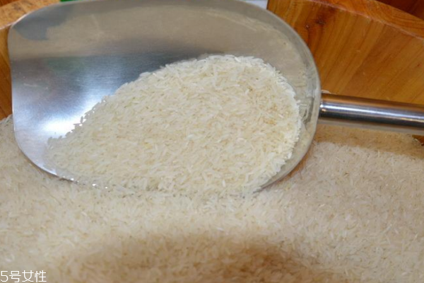 大米生蟲(chóng)子怎么辦 這樣滅蟲(chóng) 大米生蟲(chóng)子怎么辦 這樣滅蟲(chóng)