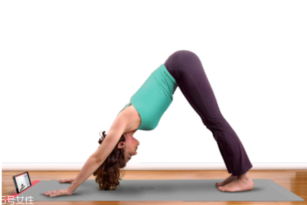 初學者瑜伽墊多厚合適 初學者選擇瑜伽墊注意事項 初學者瑜伽墊多厚合適 初學者選擇瑜伽墊注意事項