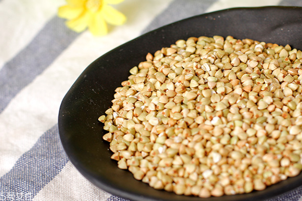 蕎麥?zhǔn)菬嵝赃€是涼性 蕎麥性涼 蕎麥?zhǔn)菬嵝赃€是涼性 蕎麥性涼