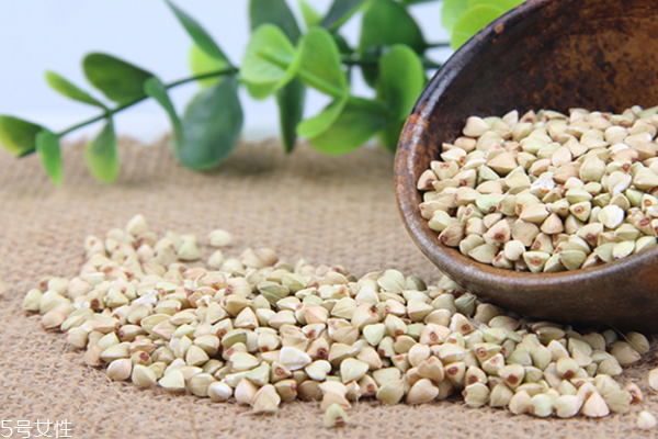 蕎麥?zhǔn)菬嵝赃€是涼性 蕎麥性涼 蕎麥?zhǔn)菬嵝赃€是涼性 蕎麥性涼