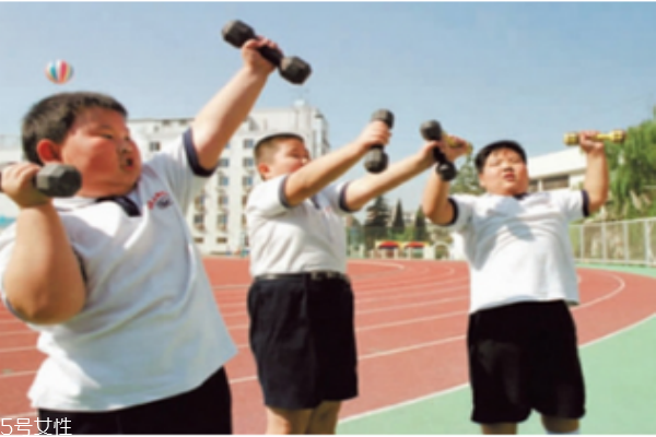 應(yīng)該注意小孩脂肪和膽固醇的攝取量嗎？