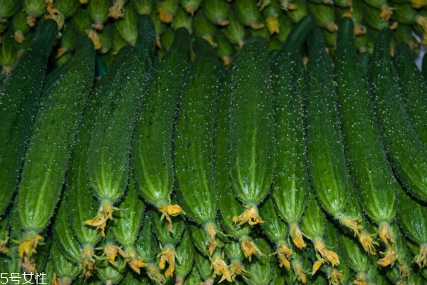 黃瓜可以去眼袋嗎 看是什么類型 黃瓜可以去眼袋嗎 看是什么類型