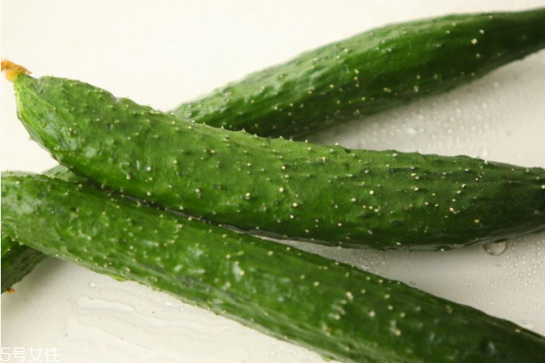 黃瓜為什么會苦 三個原因?qū)е? alt=