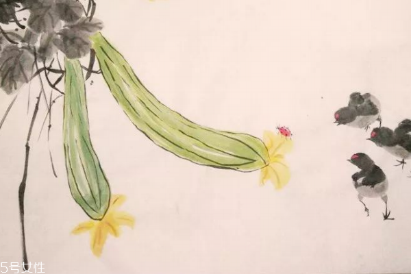 絲瓜多久施一次肥 絲瓜很好種 絲瓜多久施一次肥 絲瓜很好種