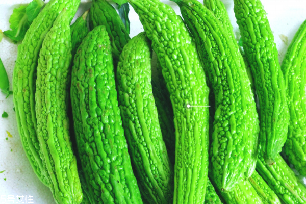 苦瓜為什么會變黃 苦瓜熟了 苦瓜為什么會變黃 苦瓜熟了