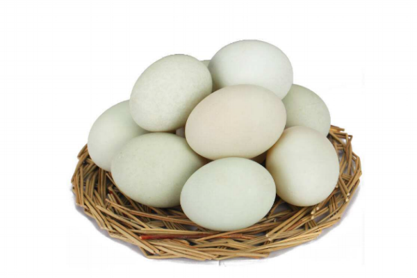 鴨蛋為什么有白的和青的 與鴨子種類有關(guān) 鴨蛋為什么有白的和青的 與鴨子種類有關(guān)