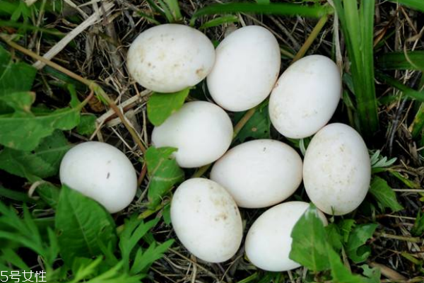 鴨蛋為什么要腌著吃 為了去腥味 鴨蛋為什么要腌著吃 為了去腥味