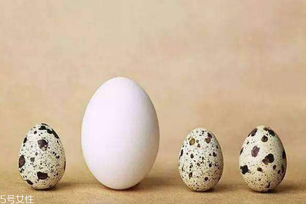 鵪鶉蛋如何煮更入味 一定要學(xué)的妙招 鵪鶉蛋如何煮更入味 一定要學(xué)的妙招