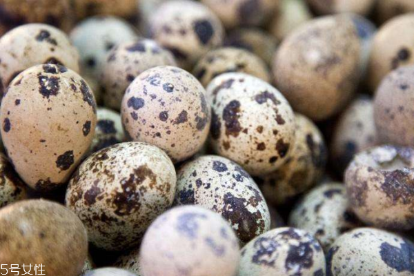 鵪鶉蛋如何煮更入味 一定要學(xué)的妙招 鵪鶉蛋如何煮更入味 一定要學(xué)的妙招