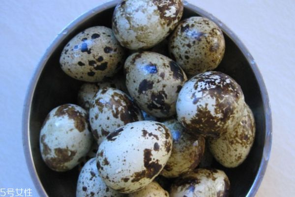鵪鶉蛋如何煮更入味 一定要學(xué)的妙招 鵪鶉蛋如何煮更入味 一定要學(xué)的妙招