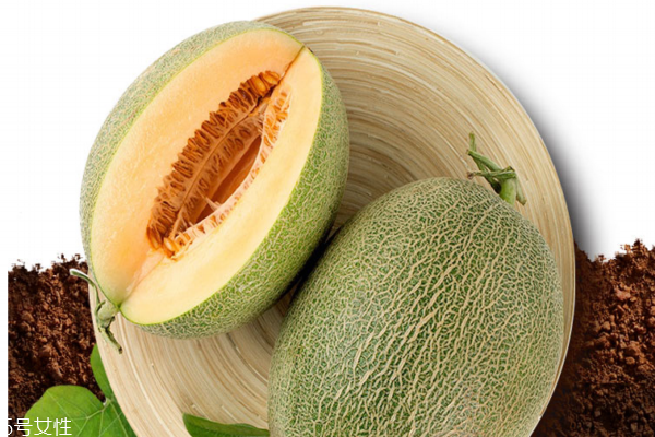 哈密瓜為什么那么甜 日照時(shí)間長 哈密瓜為什么那么甜 日照時(shí)間長