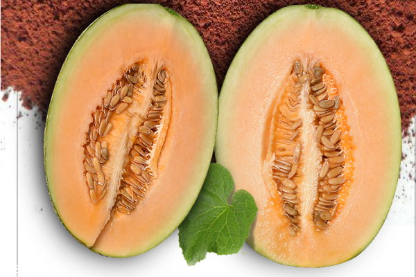 哈密瓜為什么比西瓜貴 營養(yǎng)價(jià)值高